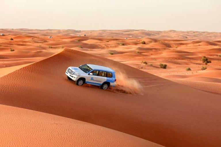 Maximizing Your Morning Desert Safari Experience in Abu Dhabi