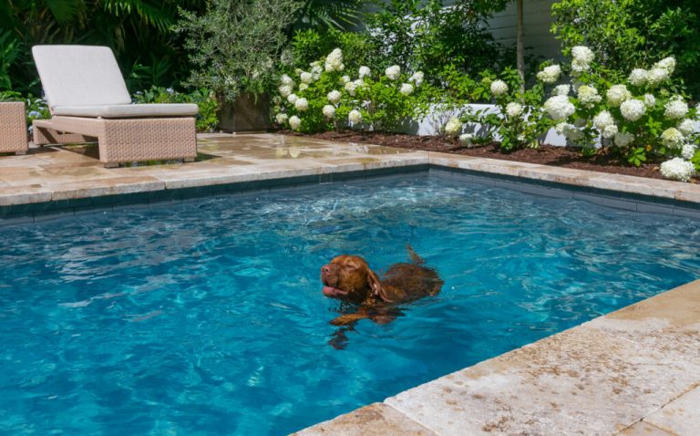 7 Questions to Ask Your Pool Builder