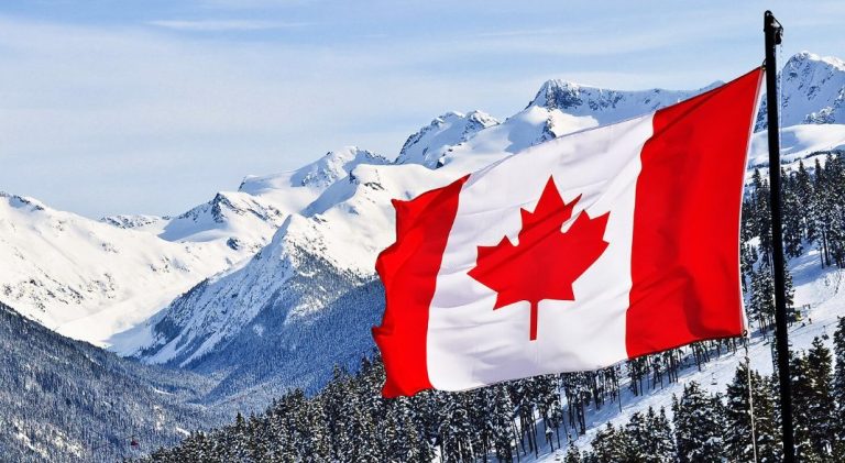 What Programs  Are Supported  The Small Enterprises Grants in Canada?