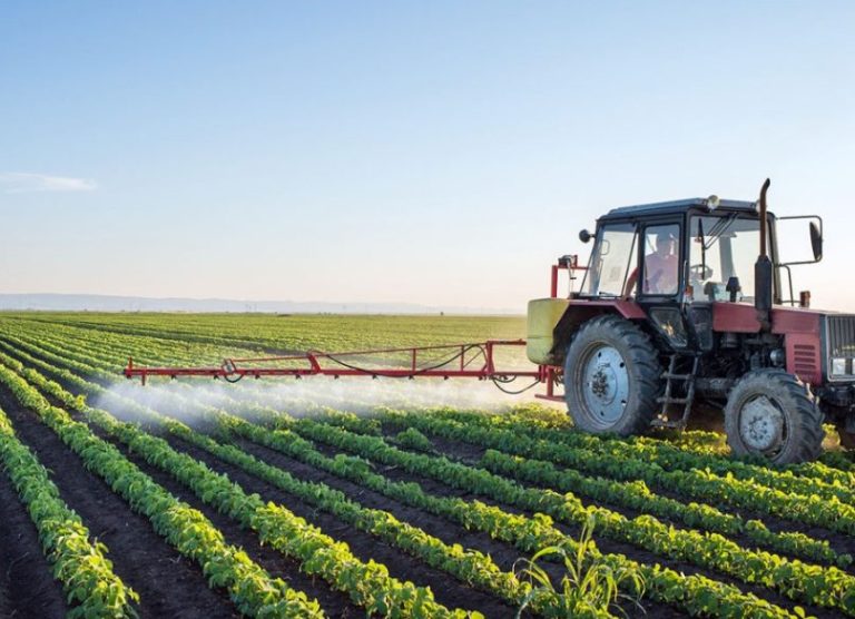 Streamlined Transportation Solutions for Grains and Seeds