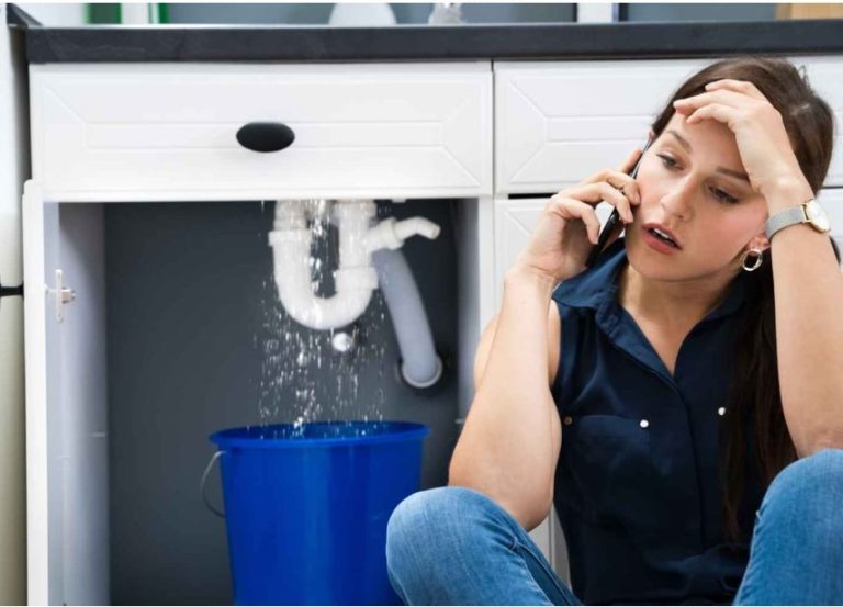 5 Reasons Why Prompt Plumbing Leak Repairs Are Essential