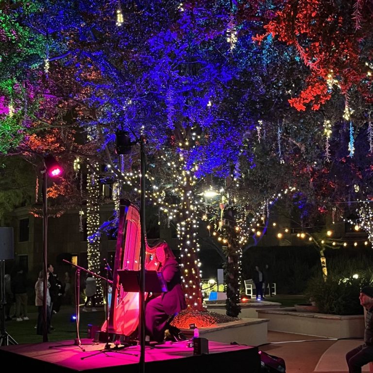 Finding the Best Christmas Light Company Near You in Phoenix, AZ: A Comprehensive Guide