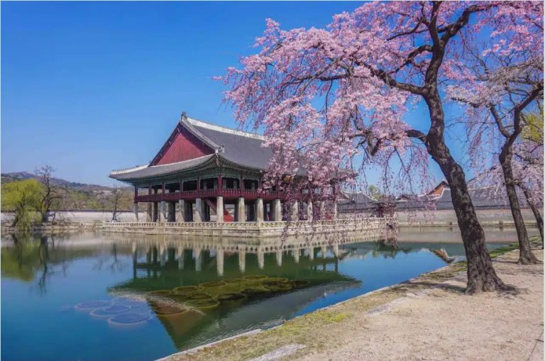 Discover the Best Cheonan OP Services: A Comprehensive Guide