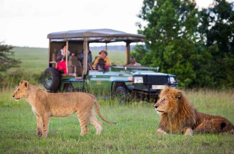 The Ultimate Kenya Safari Packing List: Essentials You Can’t Forget